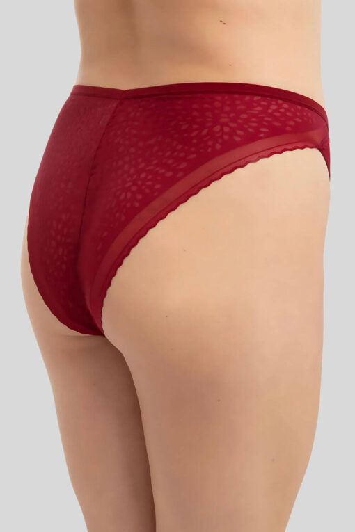Γυναικείο Brazil Plus Size R23010 - ΜΠΟΡΝΤΟ, XL - Image 5