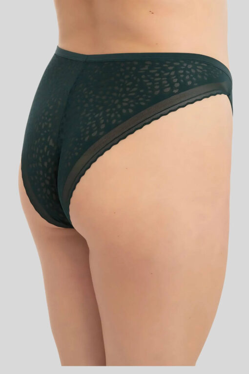 Γυναικείο Brazil Plus Size S23010 - ΚΥΠΑΡΙΣΣΙ, XL - Image 6