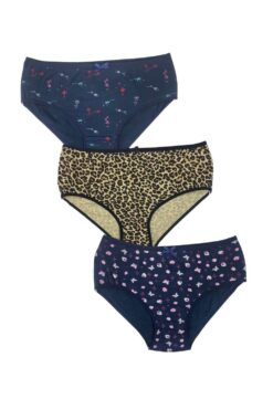 Γυναικεία slip βαμβακερά 3pack F1003 - ΠΟΛΥΧΡΩΜΟ, XL