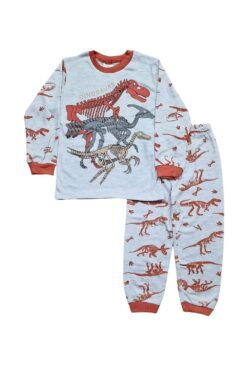 Παιδική Πιτζάμα Dinosaurs Για Αγόρι D3892 - ΠΟΡΤΟΚΑΛΙ, 4 Ετών