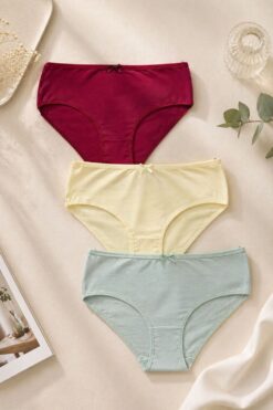 Γυναικεία Βαμβακερά Σλιπ σε Μεγάλα Μεγέθη 3Pack R1004 - ΠΟΛΥΧΡΩΜΟ, XXL